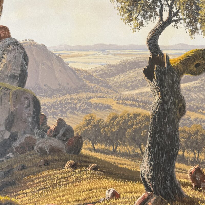 Paisaje con alcornoque — RUSTICARTE